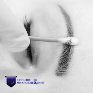 Курсове по микроблейдинг